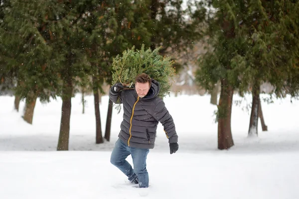 Schöner Mann bringt einen Weihnachtsbaum aus dem Winterwald über Schneeverwehungen und Schneefall. — Stockfoto