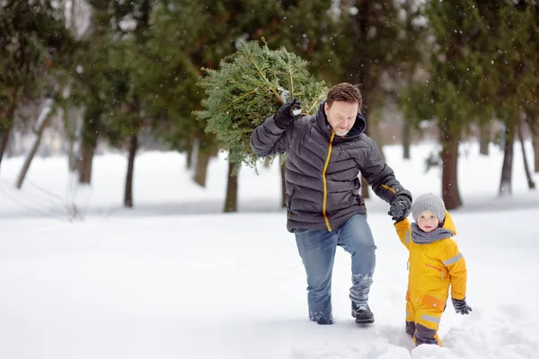 Menino com seu pai trazer uma árvore de Natal da floresta de inverno superando nevascas e nevascas . — Fotografia de Stock