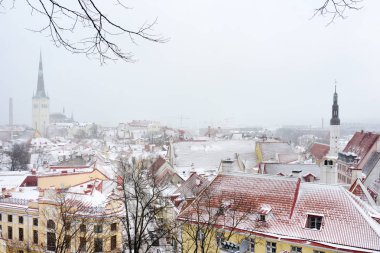 Tallinn Eski Ortaçağ Kasabası 'nın kış günü havadan manzarası. St. Olaf Kilisesi uzaktan görülebilir kule.