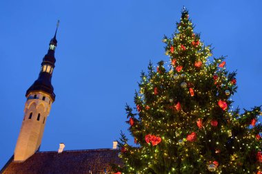 Estonya 'nın Tallinn şehrinde kışın dev bir Noel ağacı ve belediye binası kulesi.