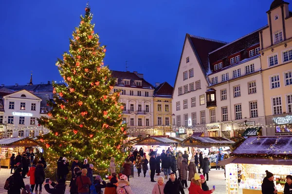 Tallinn, estland - 6. januar 2019: traditioneller straßenweihnachtsmarkt an einem verschneiten tag. größter lebender Weihnachtsbaum in Europa. — Stockfoto