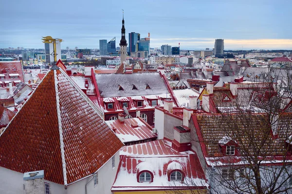 Tallinn Eski Kasabası 'nın kış günü havadan manzarası. Kırmızı kiremitler, Altın Horoz Fırtınası, Belediye Binası kulesi, uzaktaki ofis binaları.