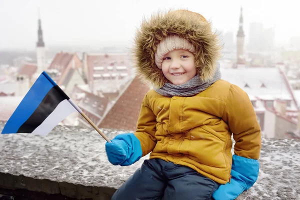 Mały chłopiec z flagą Estonii w zimie siedzi na murze starego miasta w Tallinie. — Zdjęcie stockowe