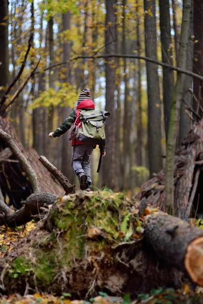 Malý skautík s batohem a lanem během turistiky v podzimním lese. Teepee bouda na pozadí. — Stock fotografie