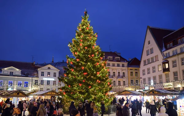 Tallin, Estonia - 6 stycznia 2019: tradycyjny uliczny jarmark bożonarodzeniowy w śnieżny dzień. Największe żywe choinki w Europie. — Zdjęcie stockowe