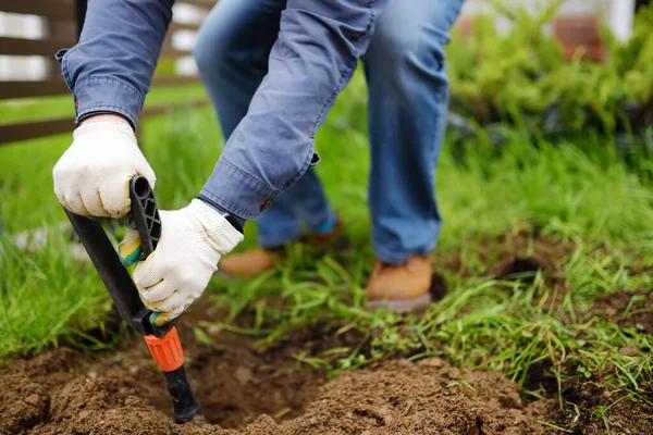 Hombre Cavando Agujeros Una Pala Para Plantar Plantas Enebro Patio —  Fotos de Stock