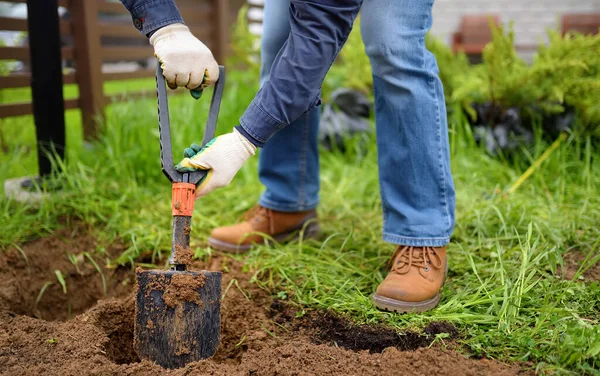 Hombre Cavando Agujeros Una Pala Para Plantar Plantas Enebro Patio —  Fotos de Stock