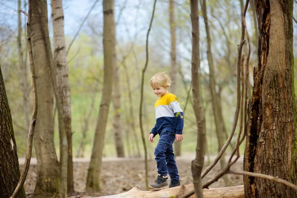 Mládě Které Chodí Dešti Lesa Děti Hrají Baví Jaře Nebo — Stock fotografie