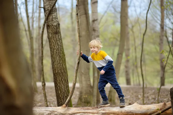 Vorschulkind Beim Waldspaziergang Nach Regen Kinder Spielen Und Spaß Haben — Stockfoto