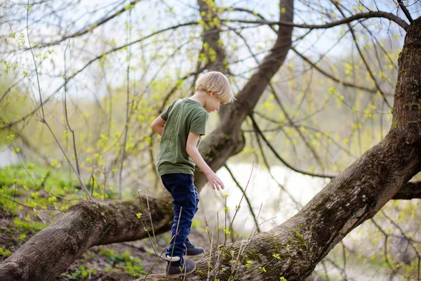 Dziecko Wieku Przedszkolnym Spacerujące Lesie Deszczu Dzieciak Bawi Się Bawi — Zdjęcie stockowe