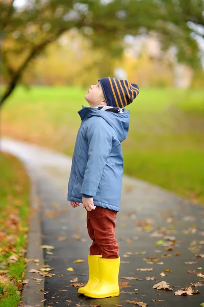 秋の公園を歩く未就学児 子供は自然を探検する 子供のための屋外活動 隔離中の散歩 — ストック写真