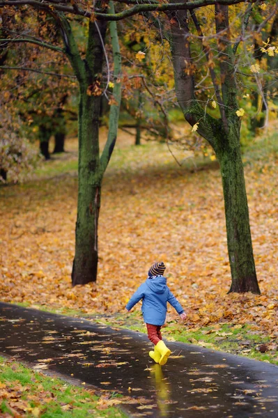 秋の公園を歩く未就学児 子供のための屋外活動 隔離中の子供のための散歩 — ストック写真