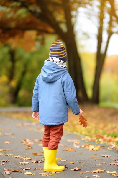 Preschooler Boy Walking Autumn Park Outdoor Activities Children Stroll Kids — Stock Photo, Image