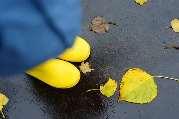 Förskolekillen Gula Regnstövlar Går Höstparken Gyllene Fallna Löv Liggande Våt — Stockfoto