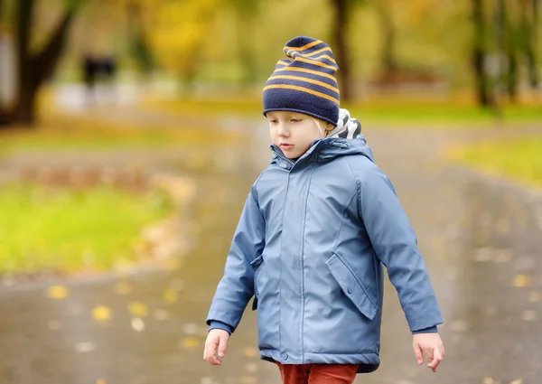 Preschooler Boy Walking Autumn Park Outdoor Activities Children Stroll Kids — Stock Photo, Image