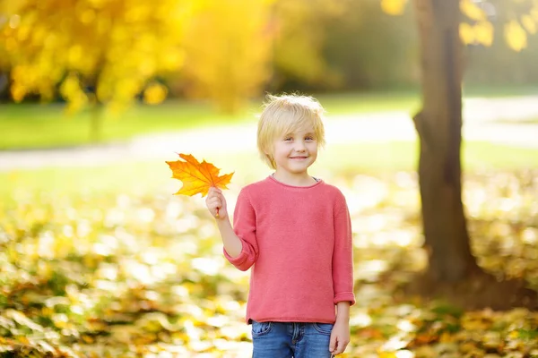 Ritratto Simpatico Bambino Una Giornata Autunno Soleggiata Foglia Acero Caduta — Foto Stock