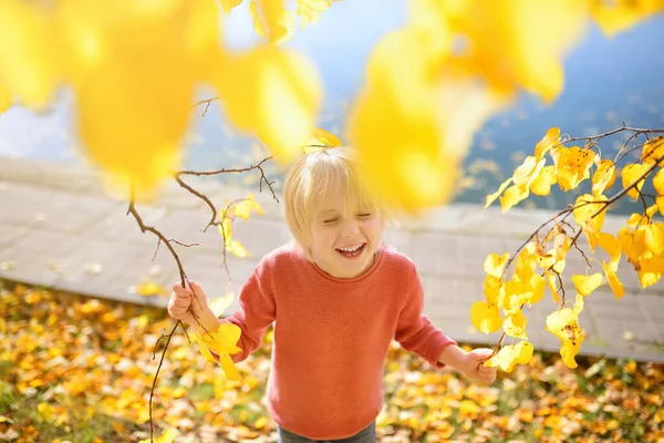 Ritratto Simpatico Bambino Una Giornata Autunno Soleggiata Bambino Che Diverte — Foto Stock