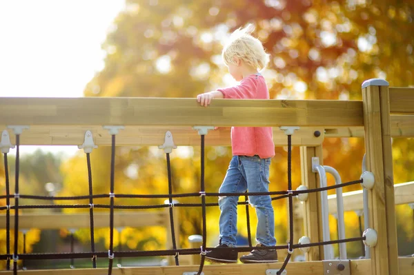 Carino Bambino Età Prescolare Divertirsi Nel Parco Giochi All Aperto — Foto Stock