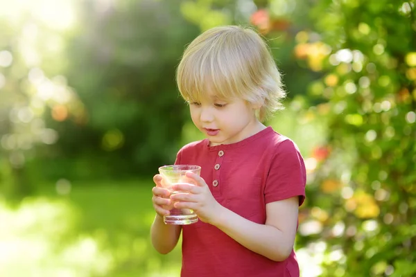 Niño Bebiendo Vaso Agua Caluroso Día Soleado Verano Patio Trasero — Foto de Stock