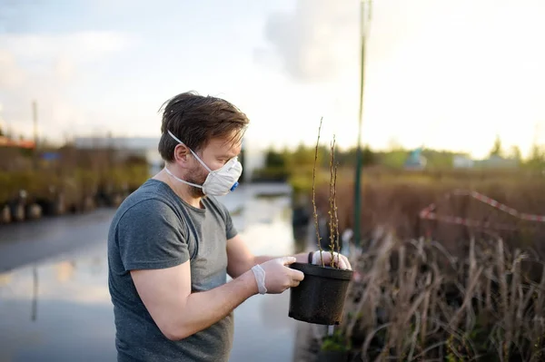 Man Kiezen Kopen Plant Het Tuincentrum Het Vroege Voorjaar Landschapsontwerp — Stockfoto