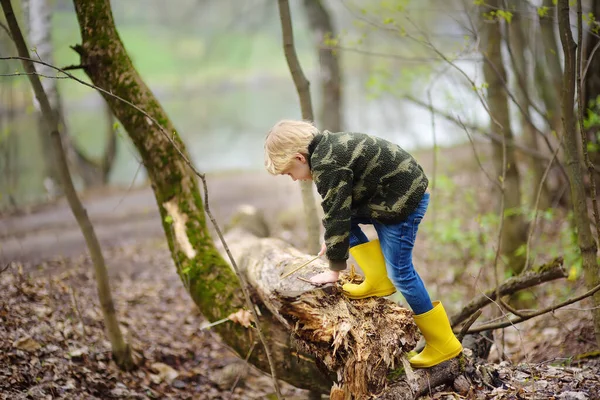 Enfant Âge Préscolaire Marchant Dans Forêt Après Pluie Enfant Jouant — Photo