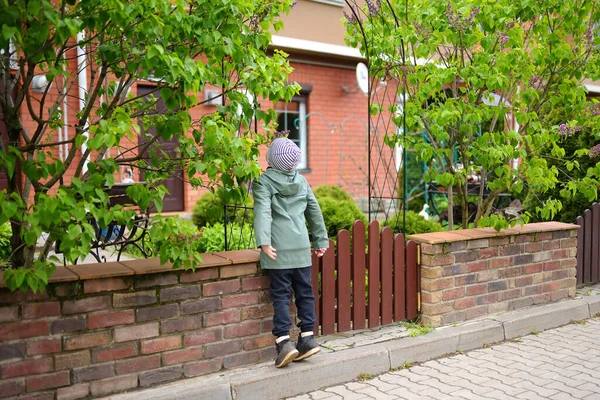 春の日に小さな町の通りでライラックを嗅ぐ未就学児の少年 子供は自然を探検する 好奇心旺盛な子供のための春の活動 — ストック写真