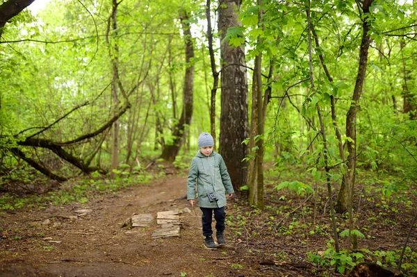 Niño Edad Preescolar Caminando Bosque Niño Jugando Divirtiéndose Día Primavera —  Fotos de Stock