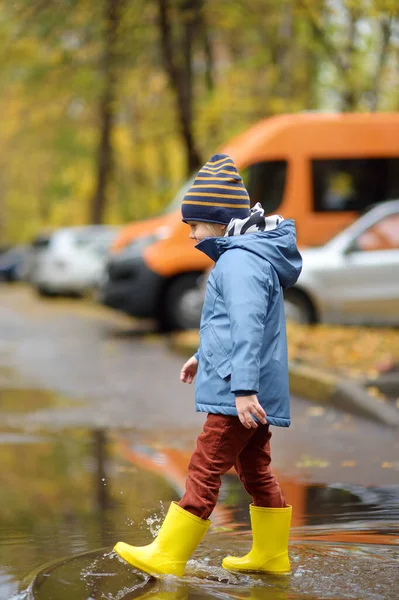 Przedszkolak Spacerujący Jesiennym Parku Chłopak Mierzy Kałuże Dobrze Się Bawi — Zdjęcie stockowe