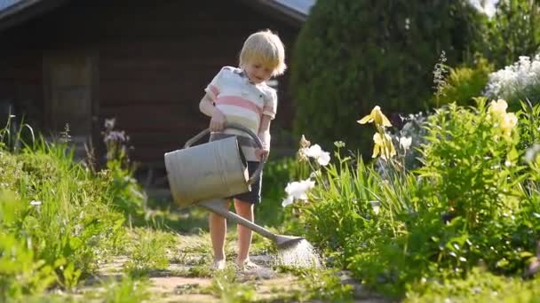 Cute Little Boy Podlewania Roślin Zabawy Ogrodzie Letni Słoneczny Dzień — Wideo stockowe