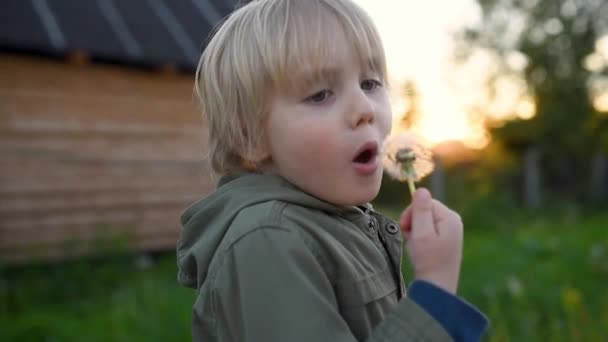 Kleiner Junge Bläst Löwenzahnflaum Herunter Einen Wunsch Äußern Kinderspaß Sommer — Stockvideo