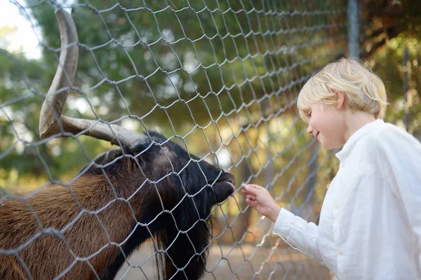 Little boy feeding goat. Child at outdoors petting zoo. Kid having fun in farm with animals. Children and animals. Fun for family with kids on summer school holidays.