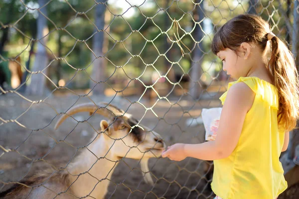 Uma Menina Alimentar Cabra Criança Jardim Zoológico Livre Miúdo Divertir — Fotografia de Stock