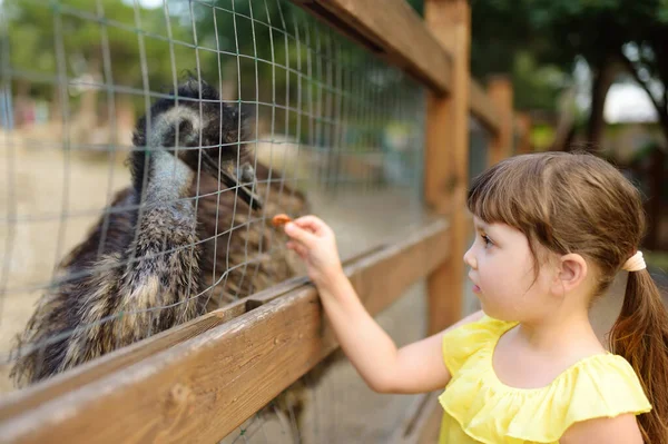 Little girl feeding ostrich. Child at outdoors petting zoo. Kid having fun in farm with animals. Children and animals. Fun for family with kids on summer school holidays.
