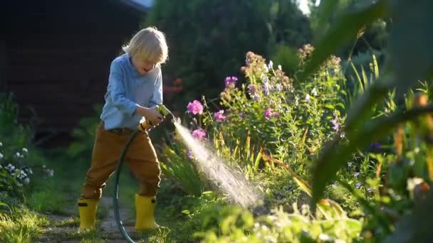 Kleine Jongen Water Geven Bloembed Spelen Met Tuinslang Zonnige Achtertuin — Stockvideo