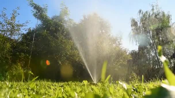 Arroseur Arrosage Automatique Système Moderne Irrigation Jardin Arrosage Pelouse — Video