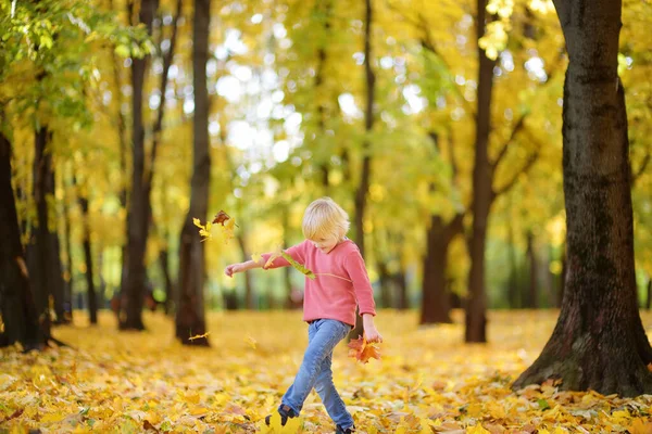 Niño Divirtiéndose Durante Paseo Por Bosque Soleado Día Otoño Niño — Foto de Stock