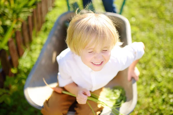 Malý Chlapec Baví Kolečkách Tlačí Táta Domácí Zahradě Teplý Slunečný — Stock fotografie