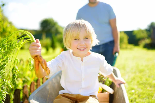 Joyeux Petit Garçon Amusant Dans Une Brouette Poussant Par Papa — Photo