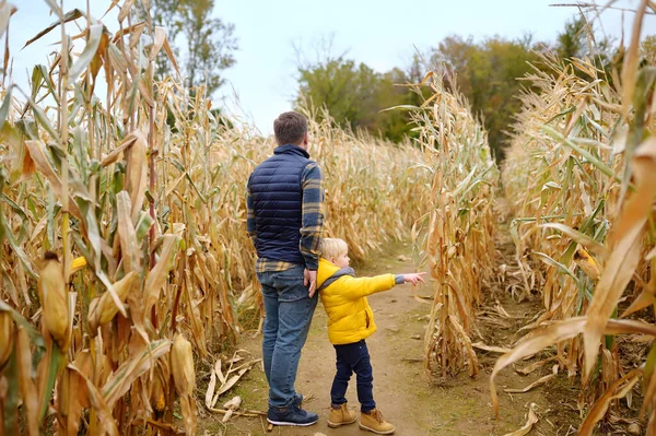 Back view of family walking among the dried corn stalks in a corn maze. Little boy and his father having fun on pumpkin fair at autumn. Traditional american amusement on pumpkin fair.