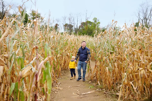 Family walking among the dried corn stalks in a corn maze. Little boy and his father having fun on pumpkin fair at autumn. Traditional american amusement on pumpkin fair.