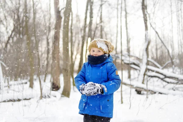 新鮮な雪で遊ぶのを楽しんでいる小さな男の子 暖かい服 手の手袋 スカーフで身を包んだ子供 雪の冬の日に自然の中で子供のためのアクティブな屋外レジャー — ストック写真
