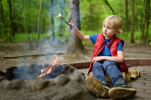 Malý Chlapec Během Rodinné Turistiky Pečení Cukroví Marshmallow Dřevěné Tyčce — Stock fotografie