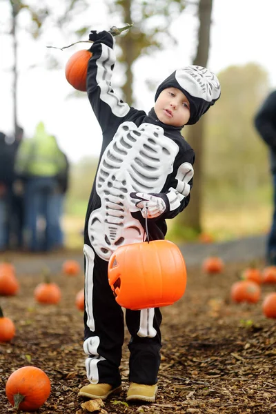 Ragazzino Costume Scheletro Spaventoso Alla Festa Halloween Nella Foresta Halloween — Foto Stock