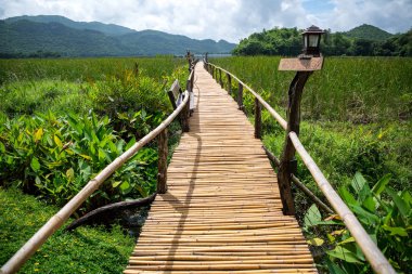 Dağ ve mavi gökyüzü ile ahşap yol