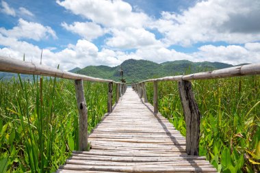 Dağ ve mavi gökyüzü ile ahşap yol