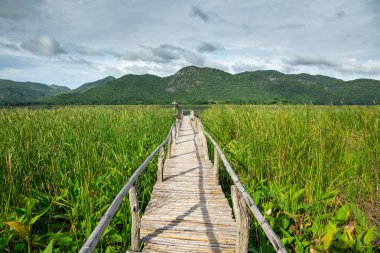 Dağ ve mavi gökyüzü ile ahşap yol
