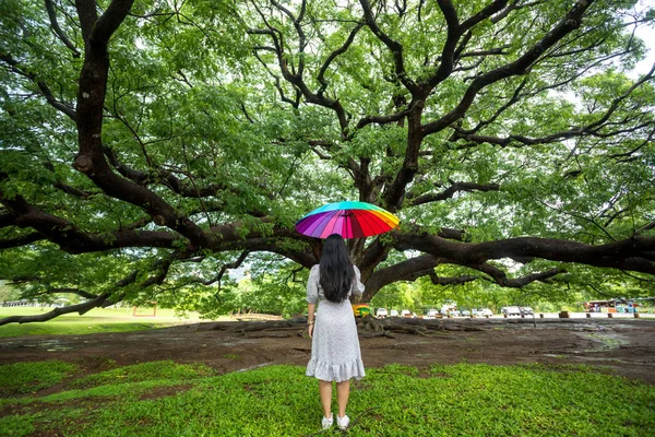 Woman Standing Big Tree Kanchanaburi Thailand — Stock Photo, Image