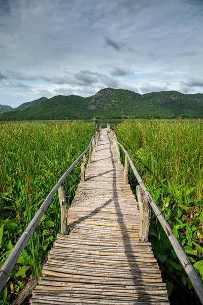 Wooden Path Mountain Blue Sky — Stock Photo, Image