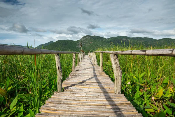 Wooden Path Mountain Blue Sky — Stock Photo, Image