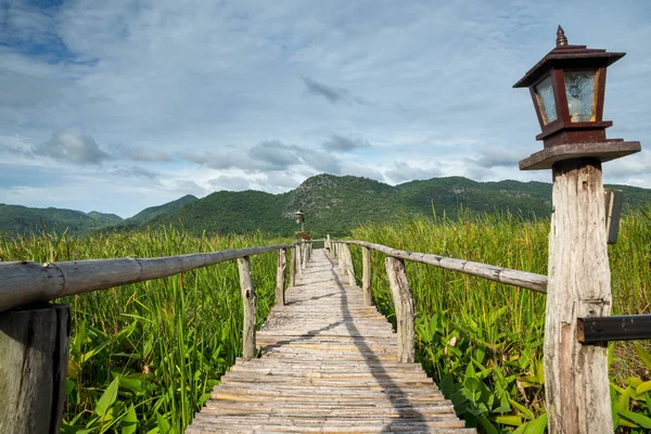 Wooden Path Mountain Blue Sky — 스톡 사진